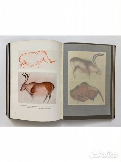 Искусство натуралистов и древности.1923 г. на неме