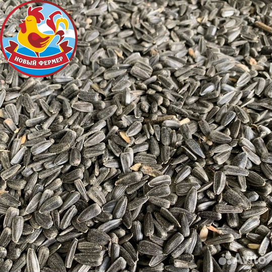 Зерно для животных