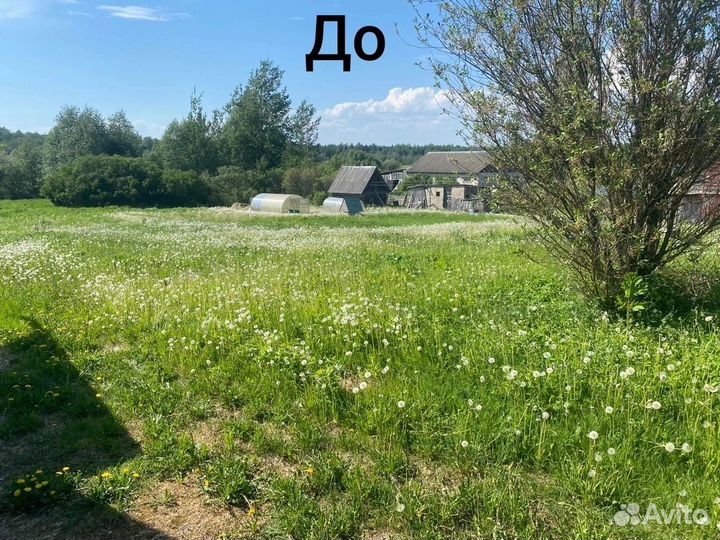 Покос травы триммером