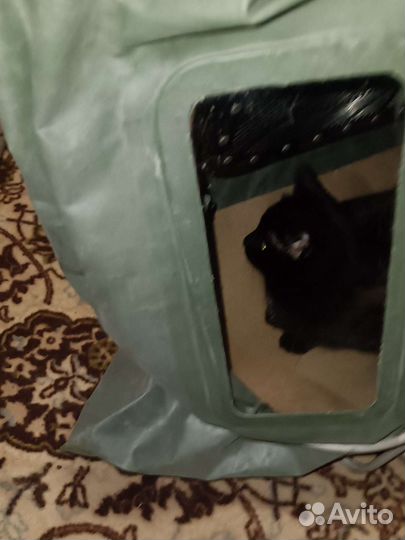 Кзд-6. Камера защитная детская