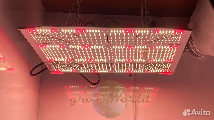 В150хД80хШ60 гроубокс Rootster Board 250W silent