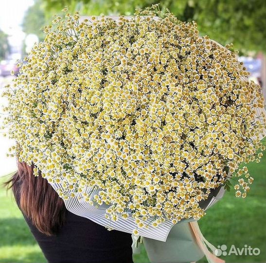 Ромашки Букет из ромашек доставка