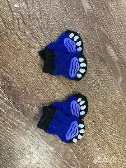 Носки для мелких собак
