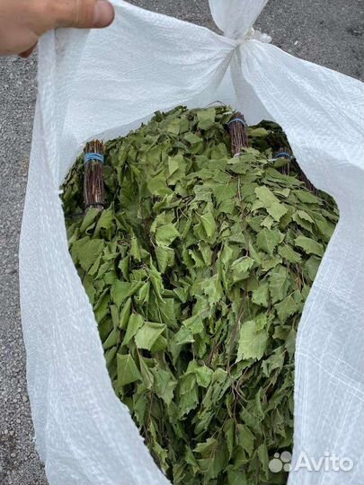 Веник для бани берёзовый банный