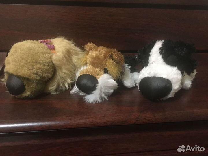 The dog collection