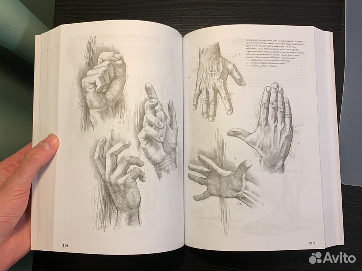 Джованни Чиварди - Рисование. Полное руководство