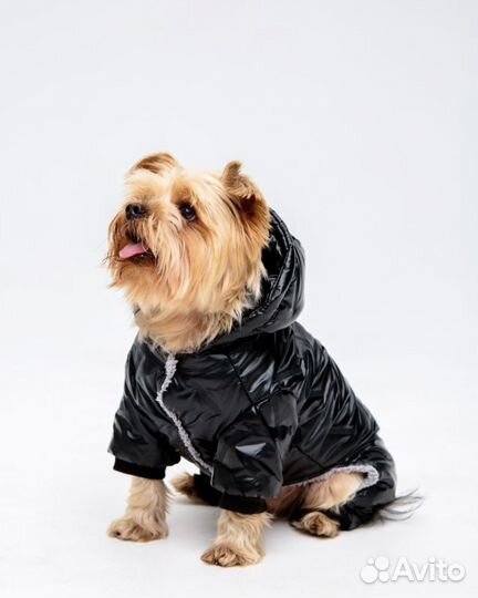 Комбинезон для собак размер m новый