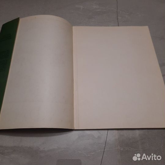 Рафаэль. Габричевский. 1956 г