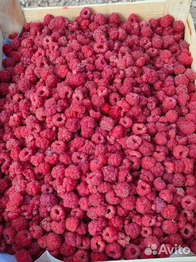 Ящик 3л Спелой ягодки