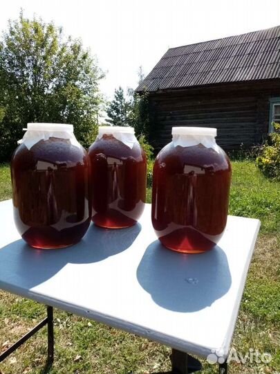 Свежий мед 2023 разнотравье