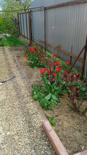 Дом 61,5 м² на участке 37,3 сот.