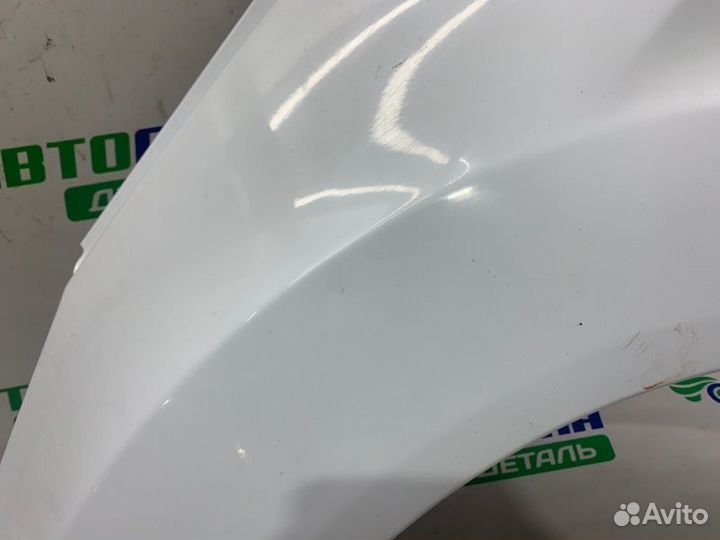 Крыло переднее левое Ford Fiesta MK6 1.4L