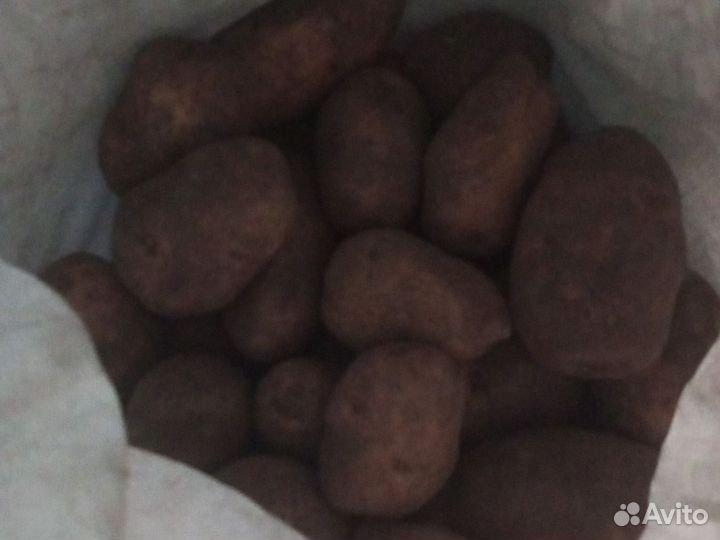 Продажа картофеля