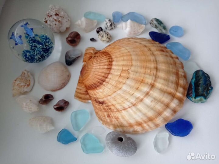 Ракушки раковины стеклянные камушки для аквариума