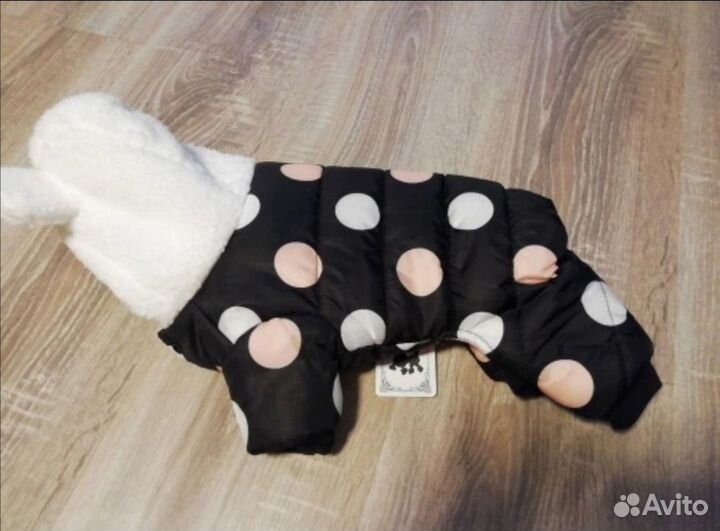 Костюмы для собаки