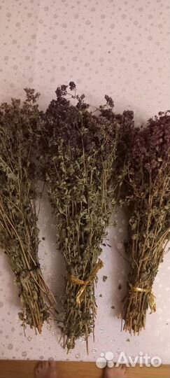 Душица сушеная