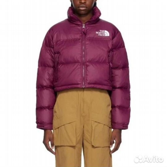 THE north face Nuptse Jacket Women's Plum (XL)(44)