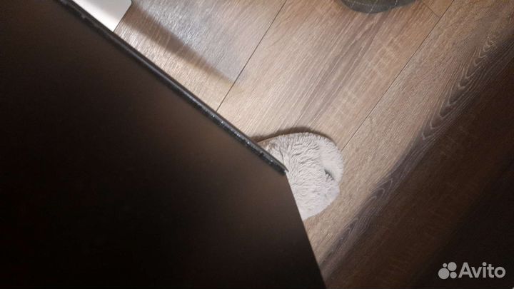 Монитор Asus 24 в корпусе Dell