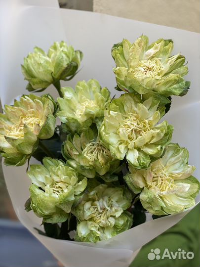 Букет из роз сорта Веджи