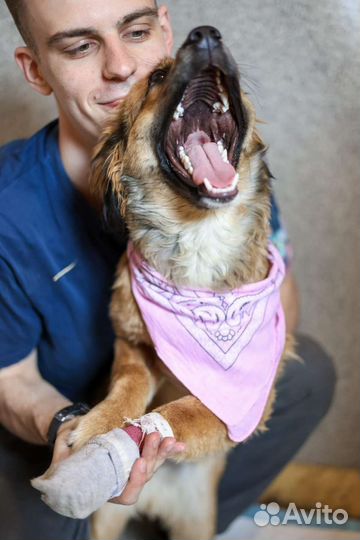 Девочка - щенок Адель