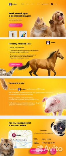 Дизайн сайтов