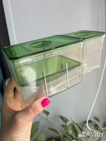 Отсадник для мальков