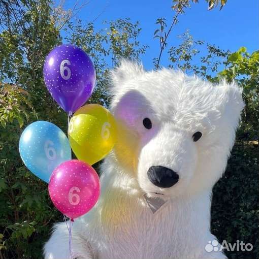 Супер поздравление от Пломбира