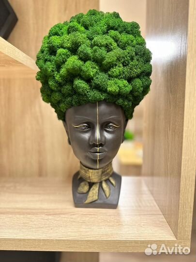 Кашпо со стабилизированным мхом