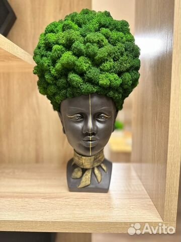 Кашпо со стабилизированным мхом