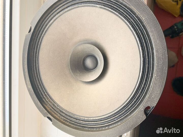 Дидамики широкополосные