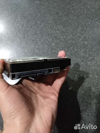 Жесткий диск для пк