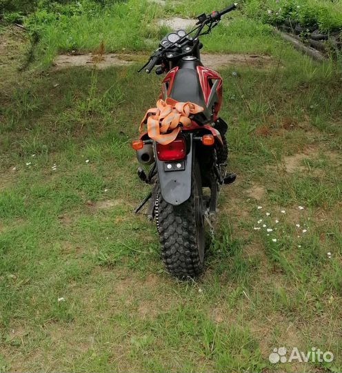 Racer forester rc200lt