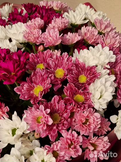 Букет из 17 хризантем