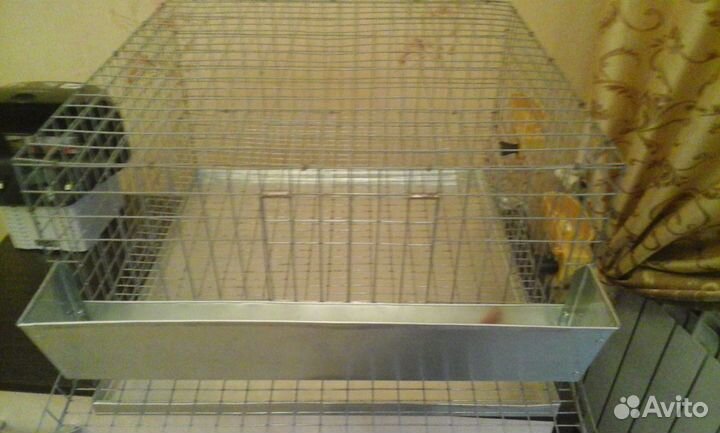 Клетки для перепелов