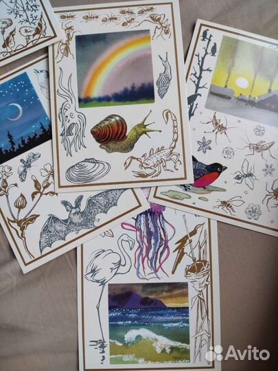 Открытки СССР живые часы и барометры