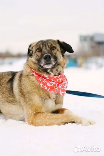 Мира мечтает найти семью