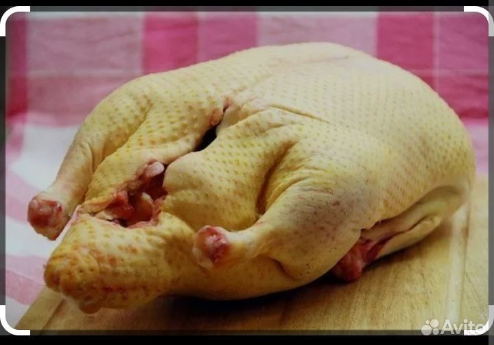 Утки муларды