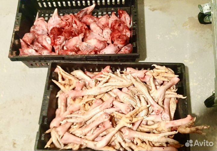 Индейка - Головы, Лапы