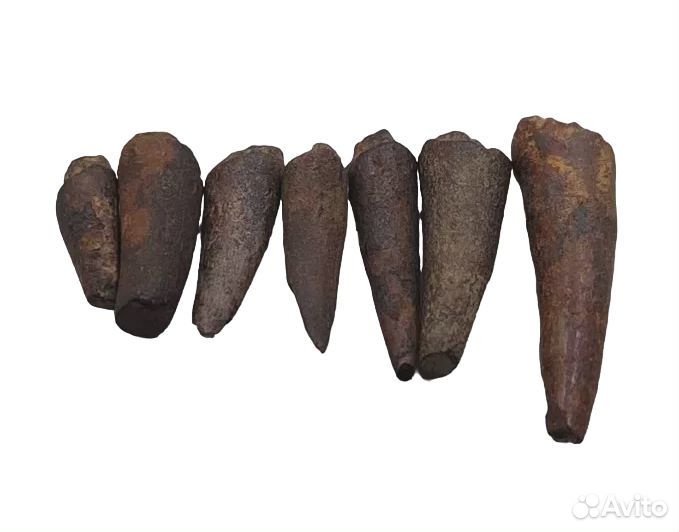 Зубы саблезубой рыбы