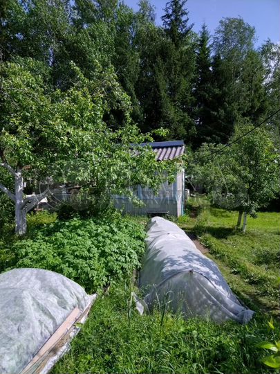 Дом 58,2 м² на участке 7,4 сот.