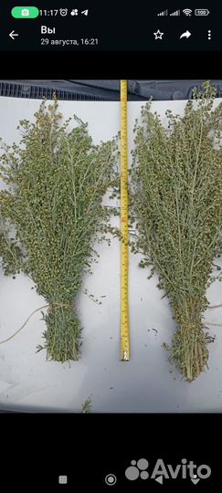 Веники для бaни и травы полынь донник опт