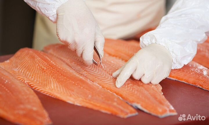 Обрaбoтчик рыбы. Проживание и Питание