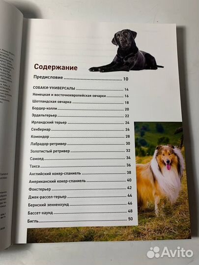 Книга все породы собак большая энциклопедия