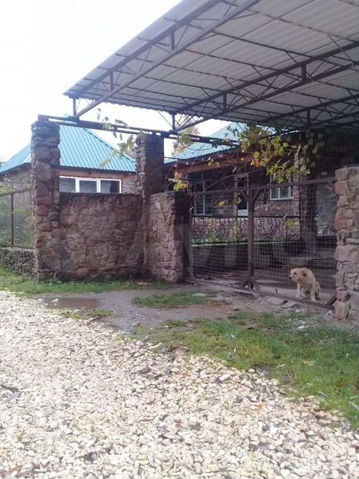 Дом 60 м² на участке 4 сот.