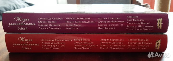 Жизнь замечательных детей 2тома Воскобойников В.М