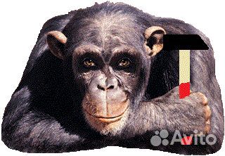 Мастер на два часа