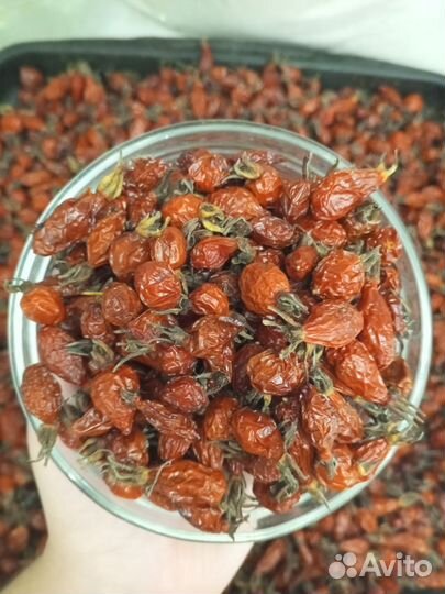 Продам сушёный шиповник