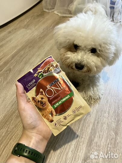 Влажный корм для собак Cesar, Purina One, Мираторг