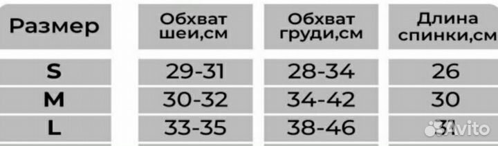 Одежда для собак мелких пород