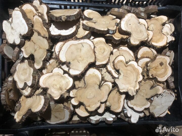 Можжевельник спилы